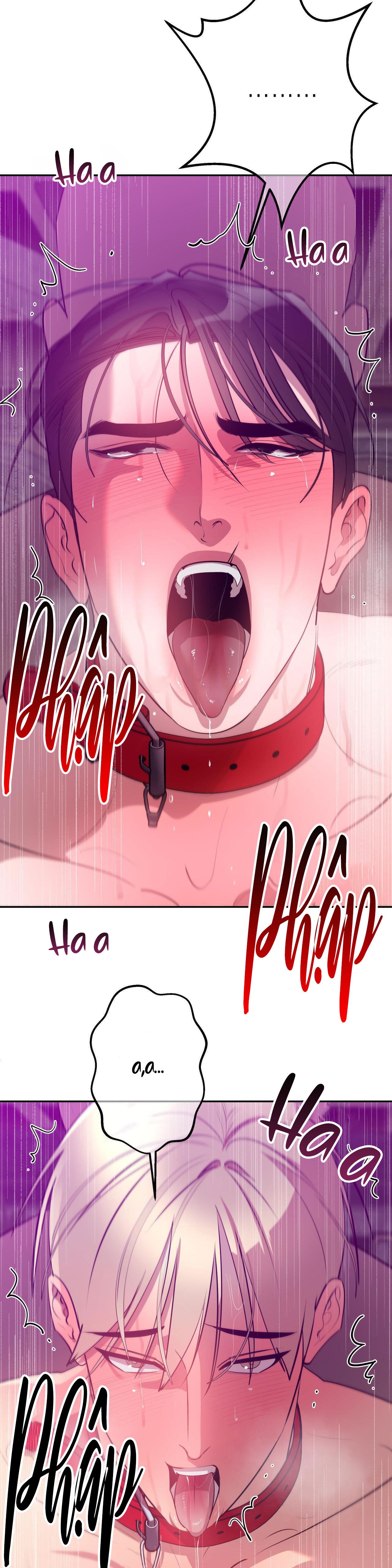 câu lạc bộ bí mật chapter 1.6 4