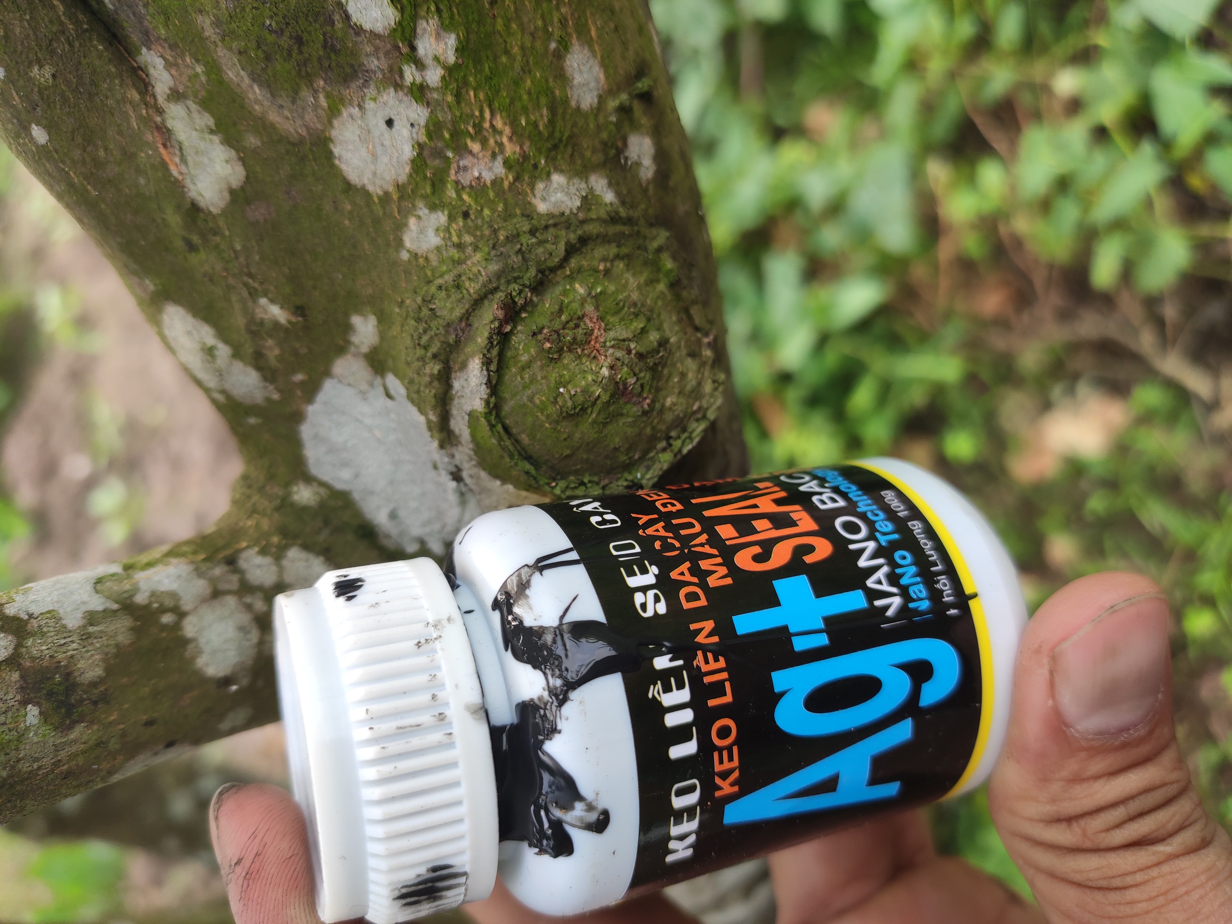 Keo liền sẹo cây nano bạc AG seal 100g - keo liền sẹo cây keo ghép cành