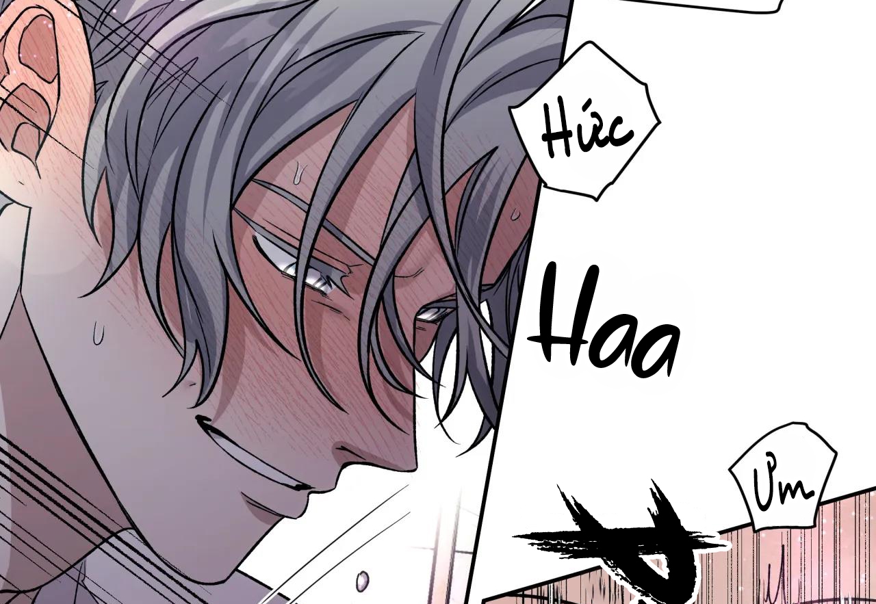 ám ảnh pheromone chapter 38 31