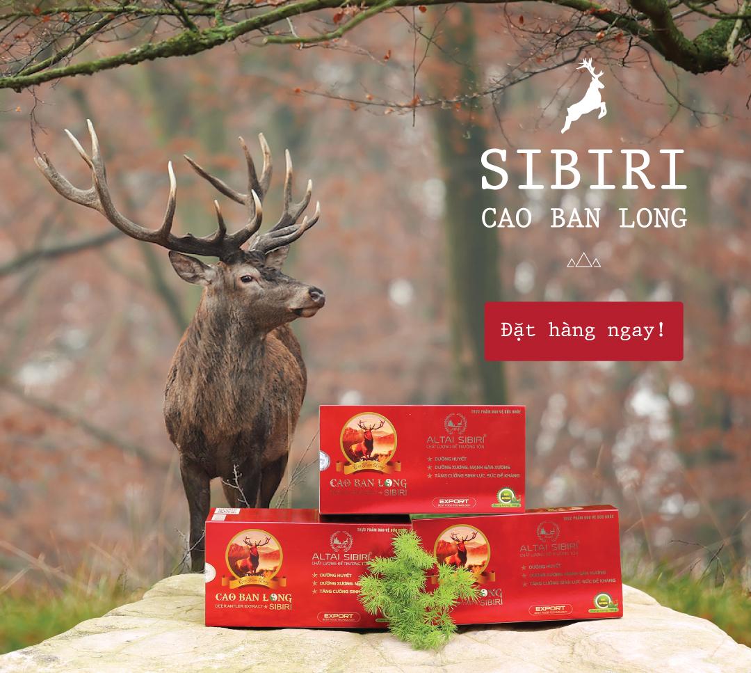 Cao Ban Long Sibiri Cao Cấp - Hộp 100g - TẶNG 01 Hộp Tỏi Đen Kim Cương Đông Á 200g - Bồi Bổ Tăng Cường Sức Khỏe