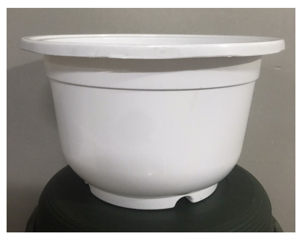 3 Chậu Nhựa Trắng Trơn A250x170 Hình Tròn Kích Thước 23x13 cm