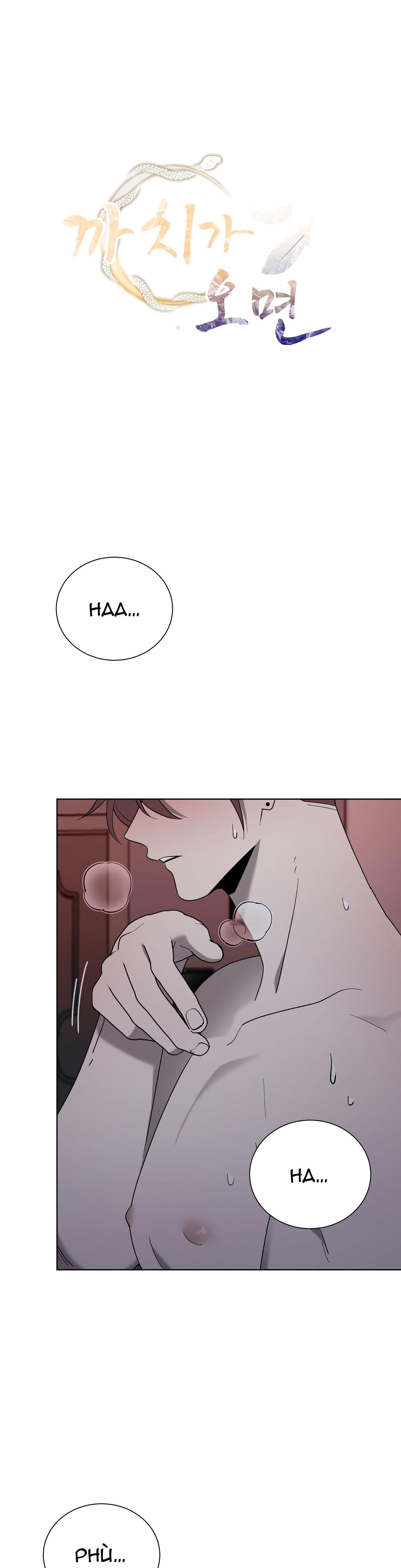 khi chim thước đến chapter 12 1