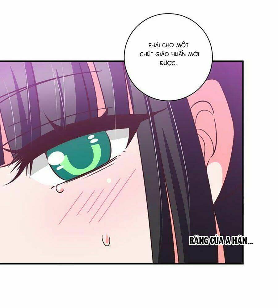 người yêu khát máu của tôi chapter 60 19