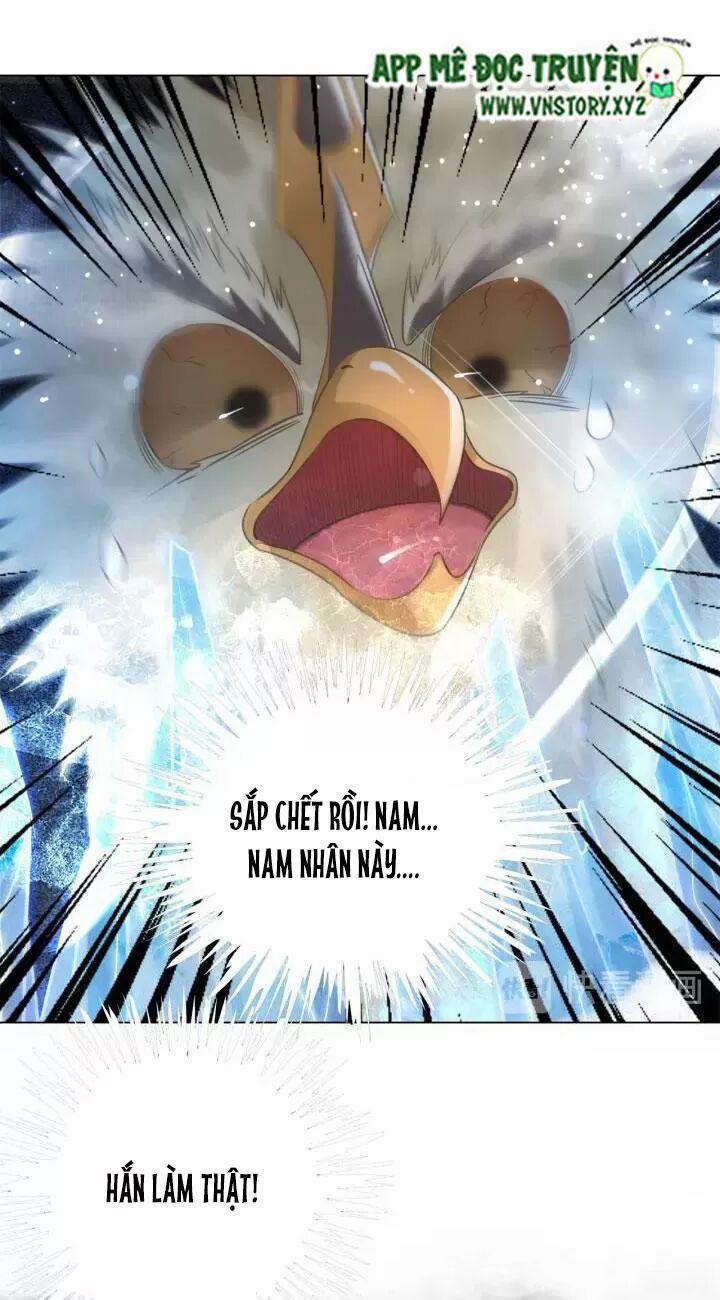 cực phẩm phế vật tiểu thư chapter 109 4