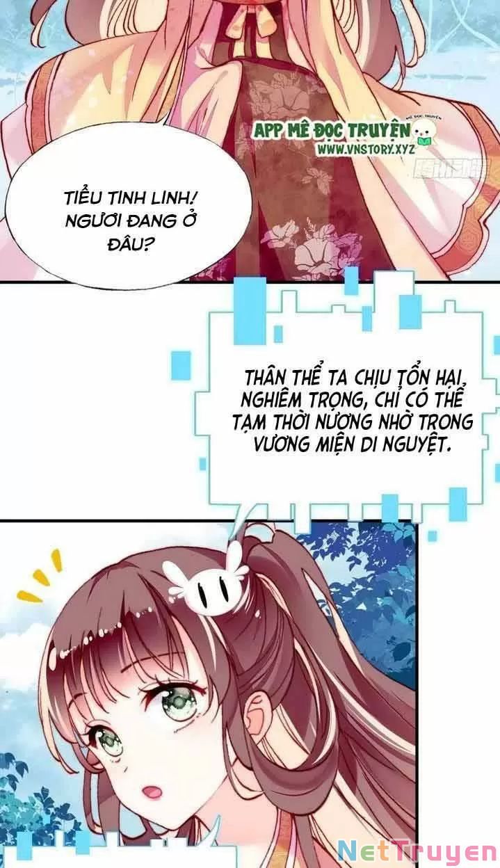 lại bị bệnh chiều chuộng quấn lấy chapter 14 34