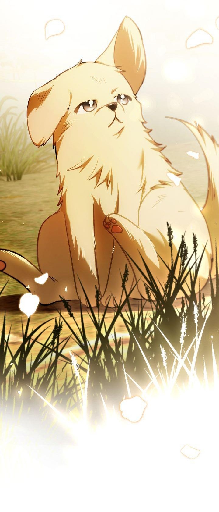 cái bóng trong đêm chapter 78 10