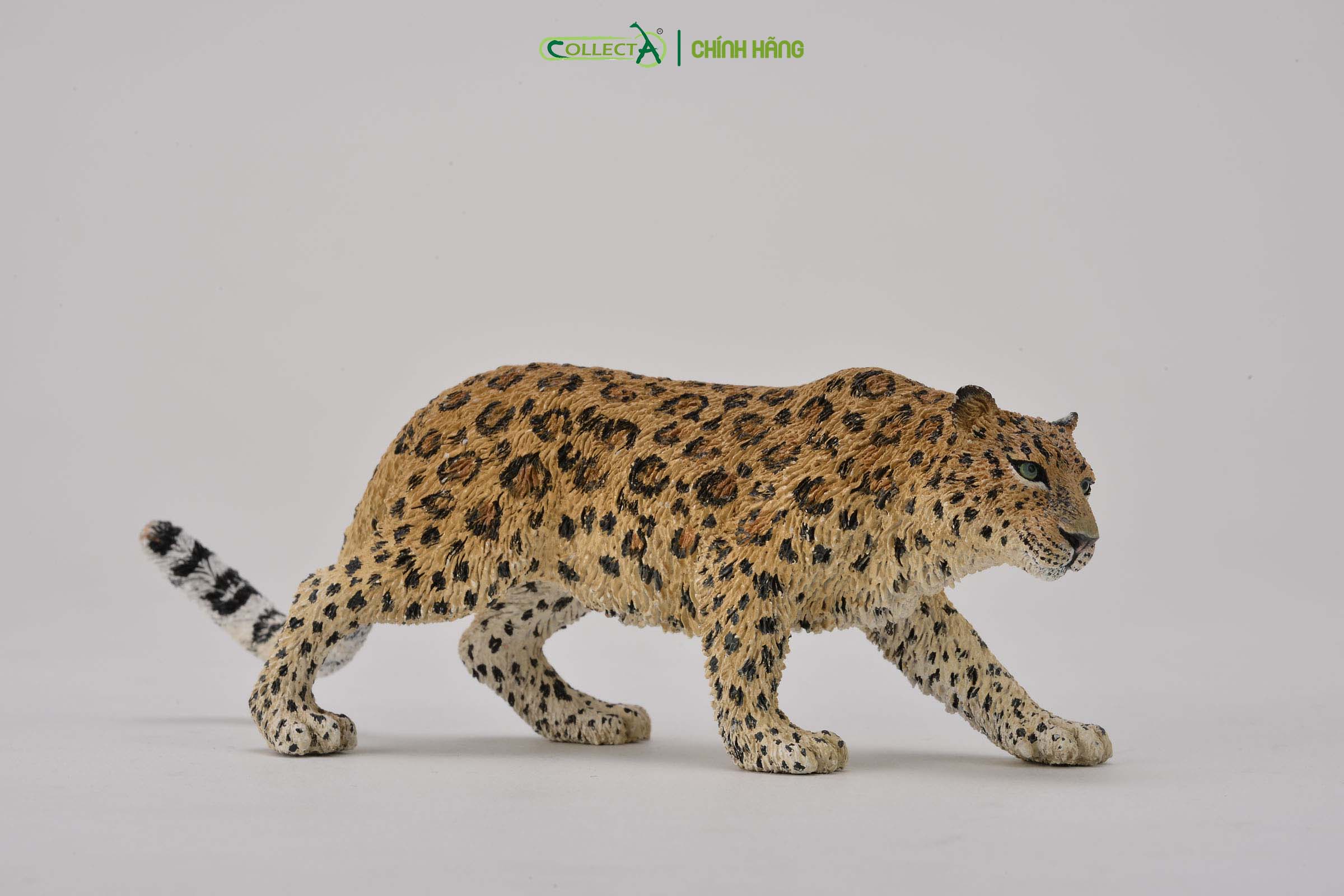 Mô hình thu nhỏ: Báo Hoa Mai - Amur Leopard , hiệu: CollectA, mã HS 9651190[88708] -  Chất liệu an toàn cho trẻ - Hàng chính hãng