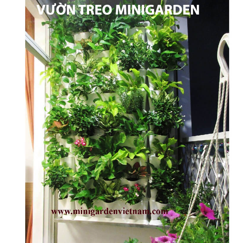 Khung Vườn Đứng Cây Ban Công dùng trồng cây xanh treo tường dạng đứng