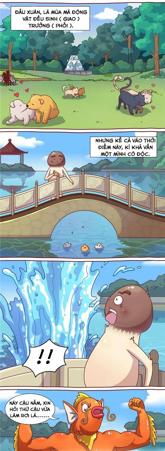 cây nấm kì khả chapter 21 2