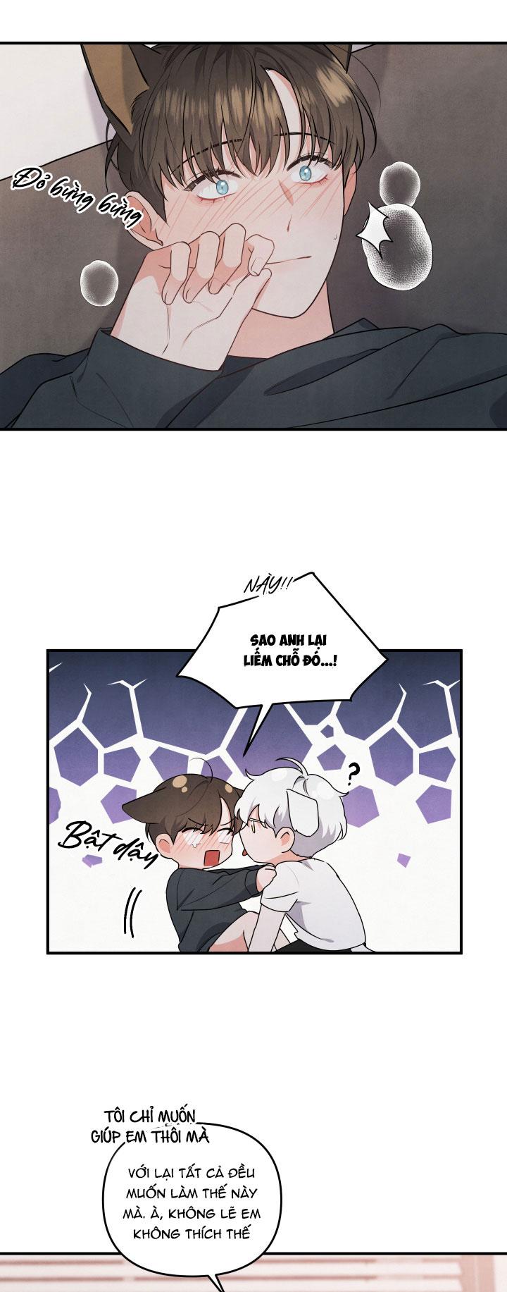 mối quan hệ của thú nhân chapter 5 22