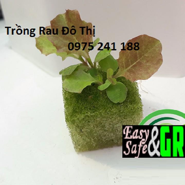 288 viên mút xốp ươm hạt kích thước 25 x 25 x 25mm hàng nhật chất lượng cao