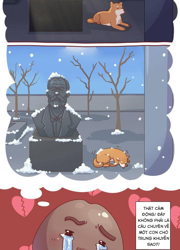 cây nấm kì khả chapter 19 8