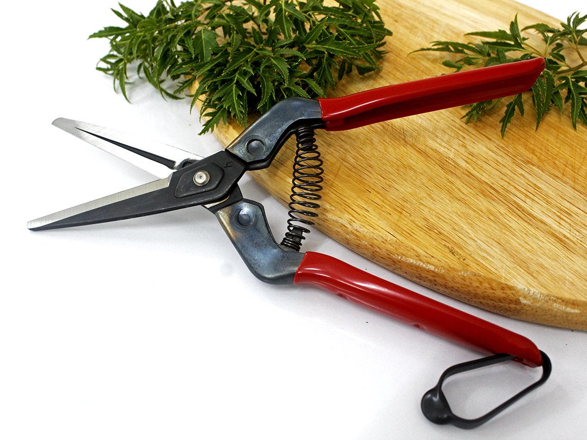 Kéo tỉa cành cao cấp Nhật Bản Chikamasa T-7C chiều dài lưỡi 63mm - lưỡi thép không gỉ chất lượng cao siêu bén - Cắt ngọt, không bám dính, liền sẹo nhanh