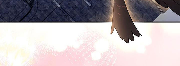 công chúa của loài chim chapter 51.1 242