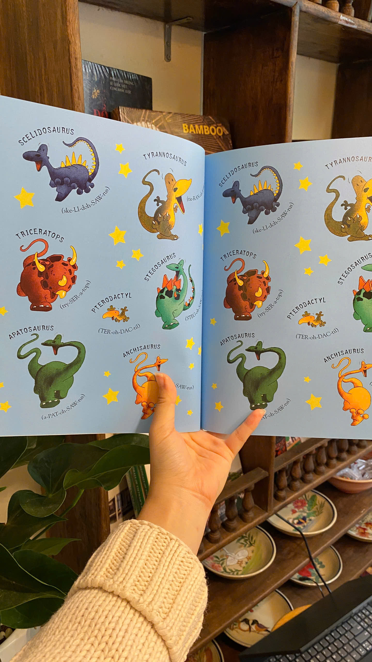 Sách - Harry and the Dinosaurs First Sleepover by Adrian Reynolds | Children's English Picture Book