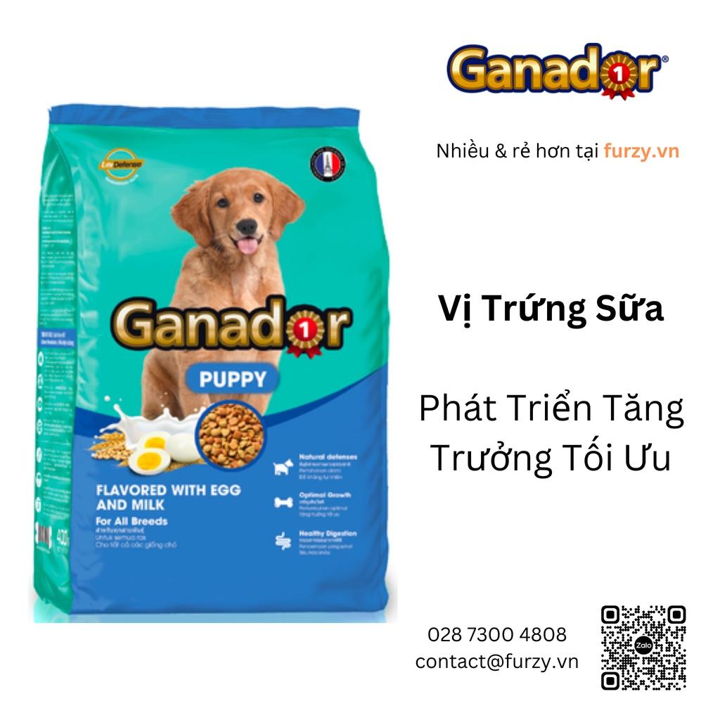 Ganador Puppy Thức Ăn Hạt Cho Chó Con Vị Trứng Sữa