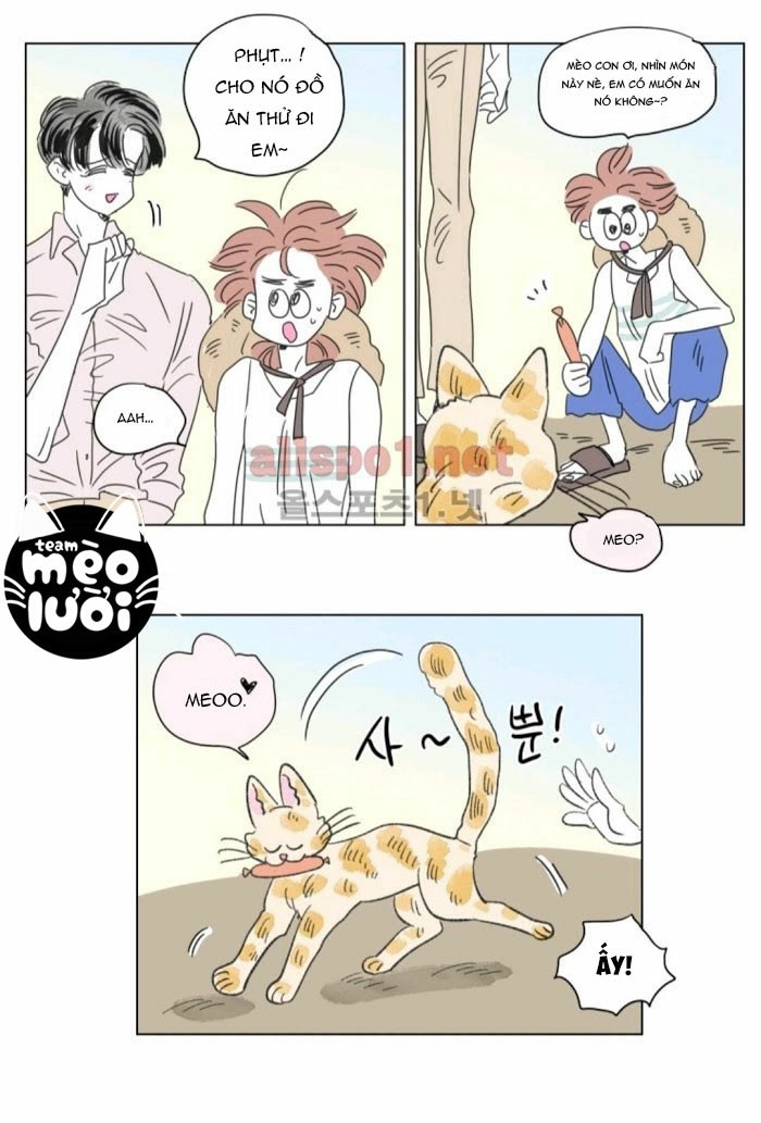 câu chuyện của hosik chapter 50 14