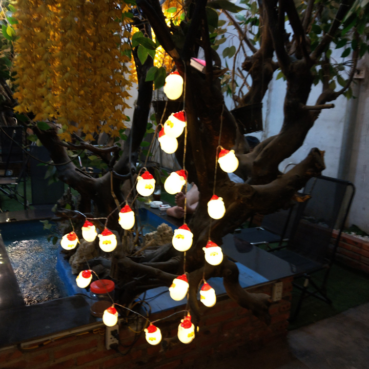 Đèn Led trang trí giáng sinh Noel xài Pin tiểu dài 3m - DN011