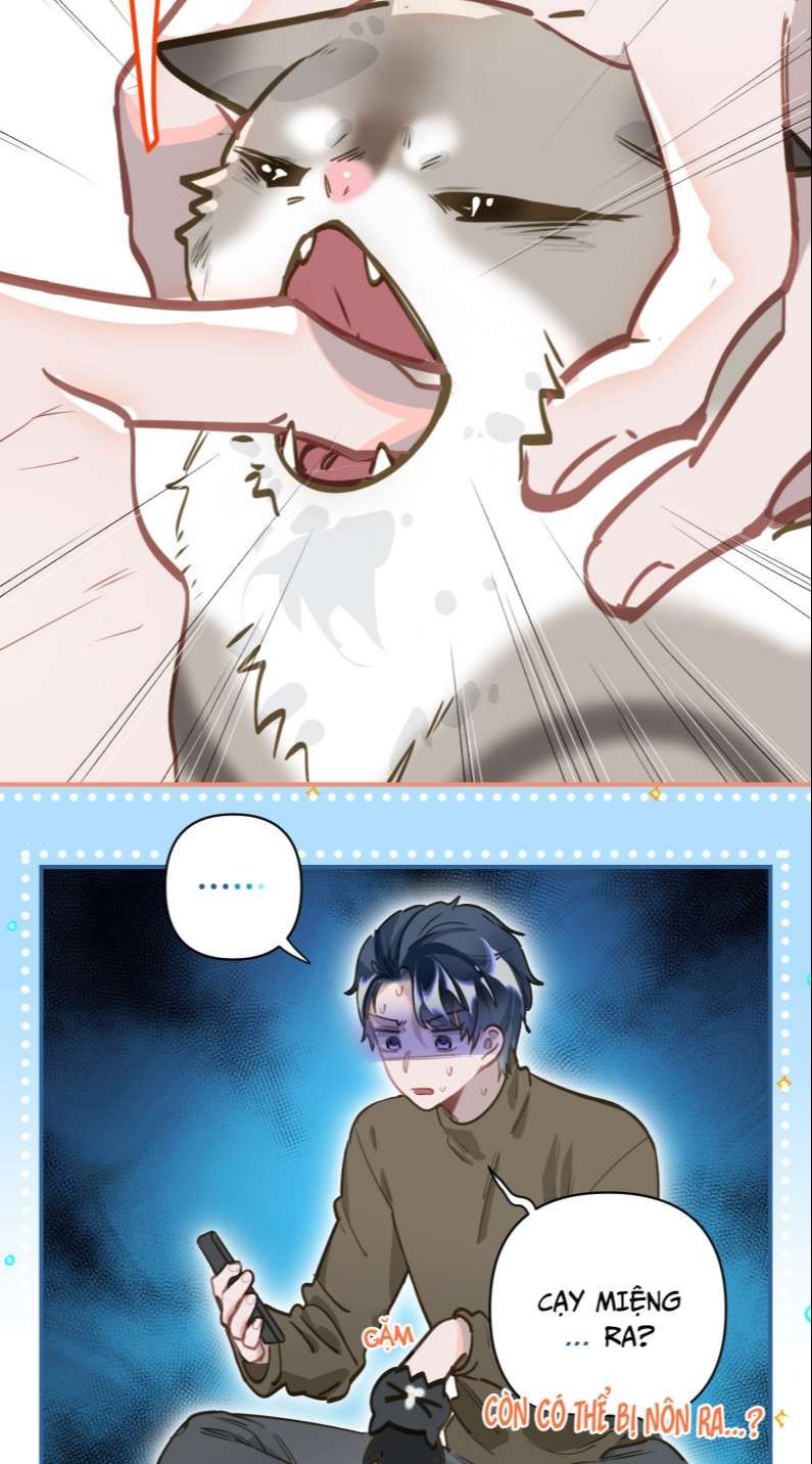 tôi bị điên đó chapter 8 33
