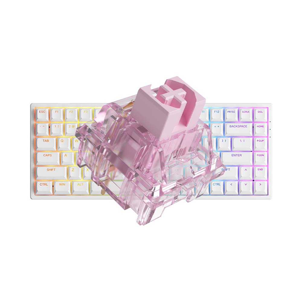 Bàn phím cơ AKKO 3084 v2 RGB Black/White _Mới, hàng chính hãng
