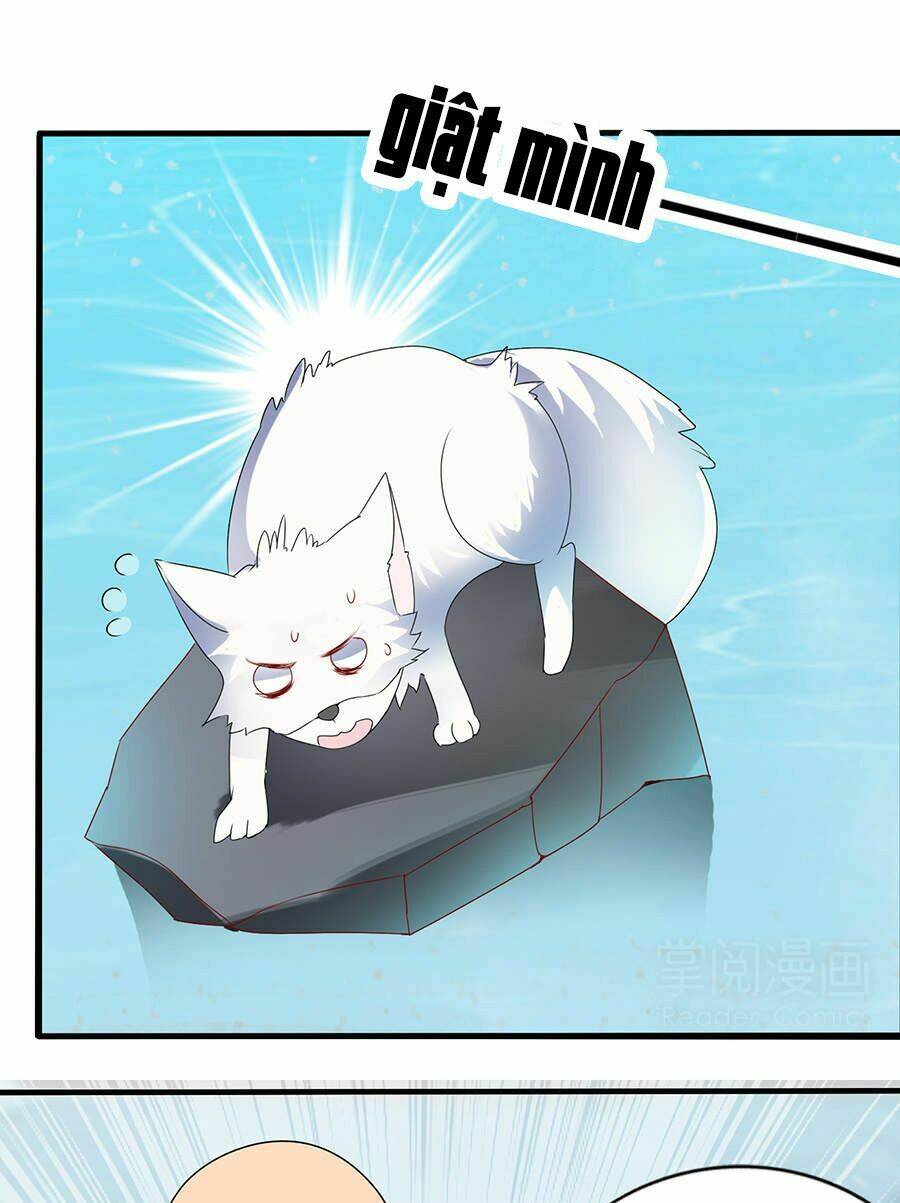 vương phi lại hạ độc rồi chapter 11 26