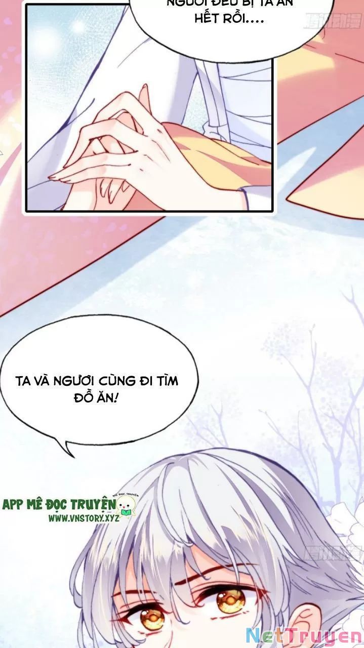 lại bị bệnh chiều chuộng quấn lấy chapter 17 35