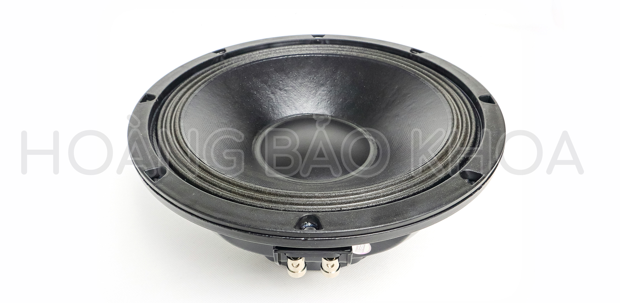 10NW750 Củ loa Bass 10inch - 2,5 tấc Neodymium 450W 8/16Ω 18 Sound-HÀNG CHÍNH HÃNG
