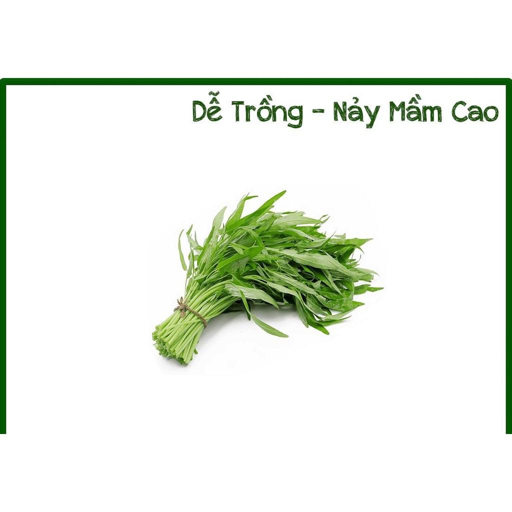 HẠT GIỐNG RAU MUỐNG - KHẢ NĂNG SINH TRƯỞNG VÀ PHÁT TRIỂN MẠNH, TỶ LỆ NẢY MẦM CAO