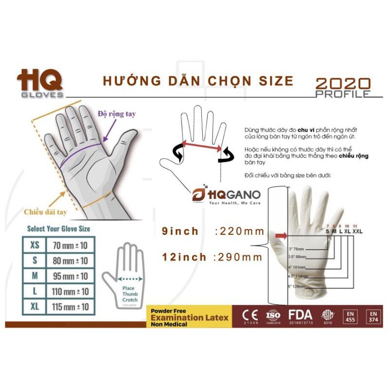 Găng Tay Latex Không Bột HQ Gloves - Size L - Màu Nâu