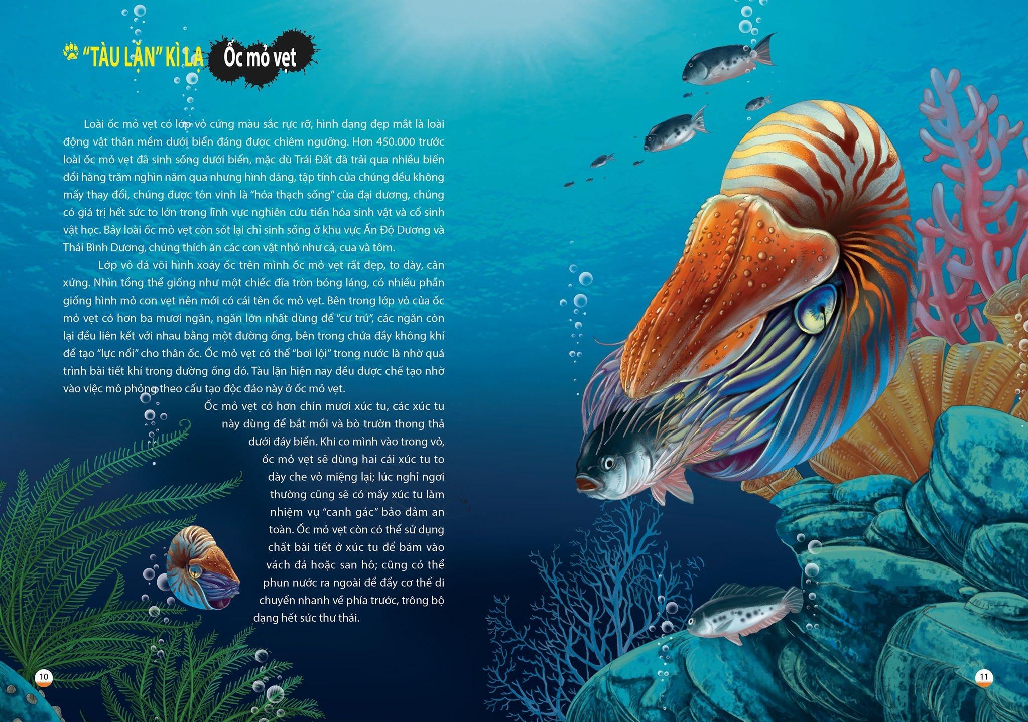 Khám Phá Thế Giới Động Vật Kì Thú: Thế Giới Của Các Loài Vật Kì Quái