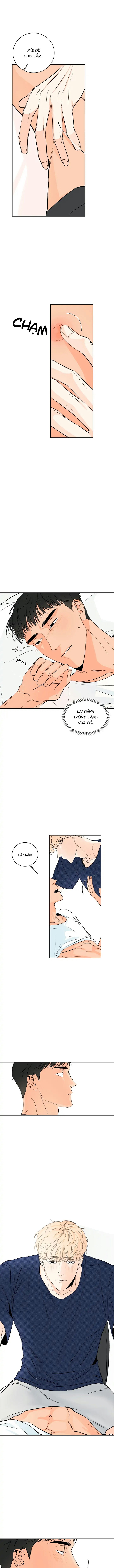 bầu trời của đại dương chapter 1 11