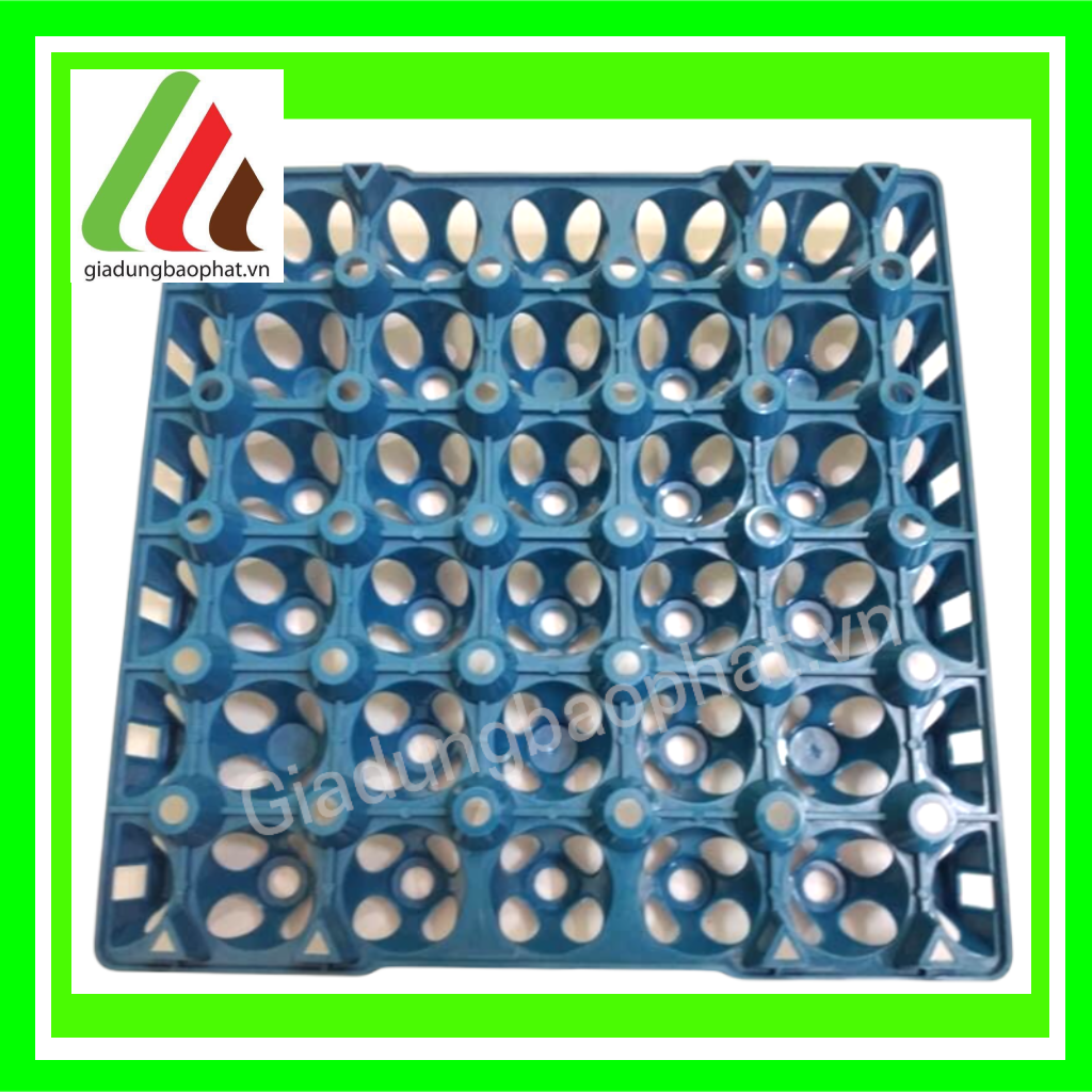 Vỉ trứng nhựa dày dặn chính hãng An Thiên kích thước 31*31cm - vỉ 30 trứng - vỉ trứng trang trại - vỉ trứng đại lý