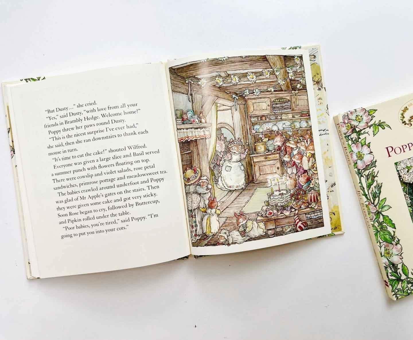 The Brambly Hedge Library Collection - 8 Books ( Miền Dâu Dại Bản Tiếng Anh) | Sách Nhập Khẩu