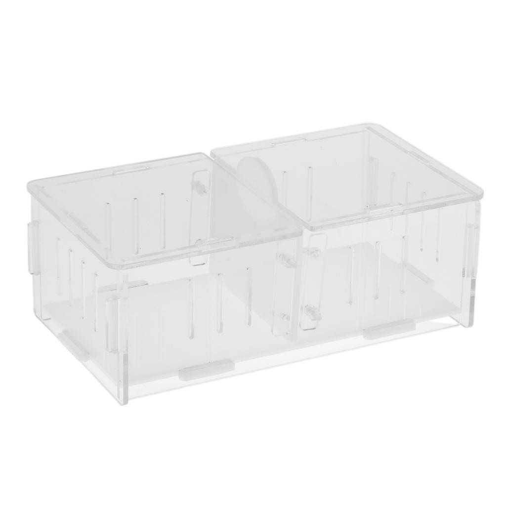 1x Reptile Cage Food Feeding Container For Spider Frog Cricket Turtle