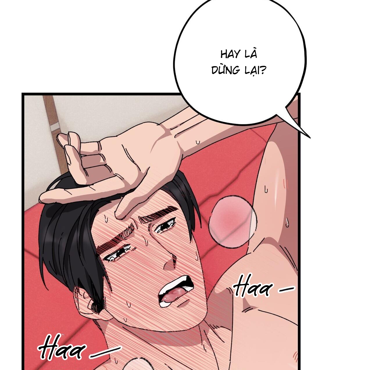 chàng dâu nhà họ kang chapter 38 74