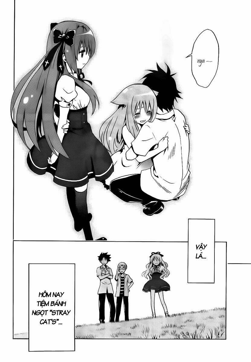 mayoi neko overrun! chapter 1 66