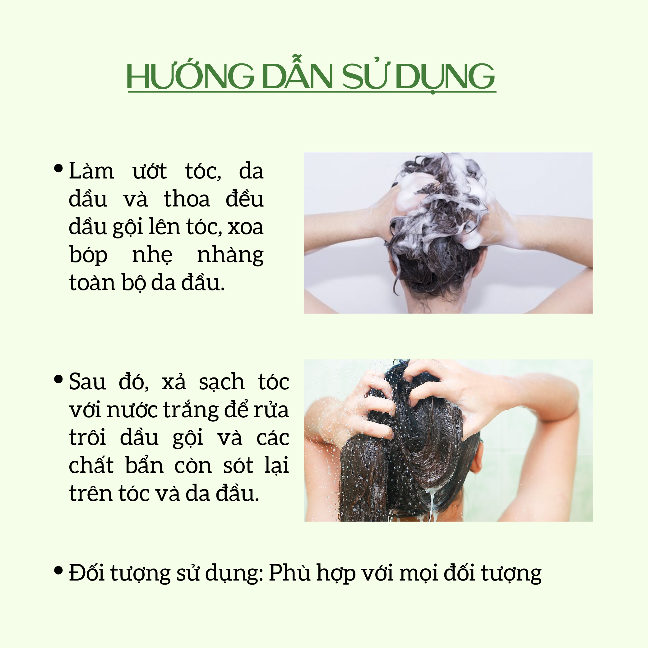 Dầu Gội Thảo Dược ECOCARE PREMIUM 300ml Đạt Chuẩn CGMP, Dầu Gội Xả Thiên Nhiên Sạch Gàu, Phục Hồi Hư Tổn