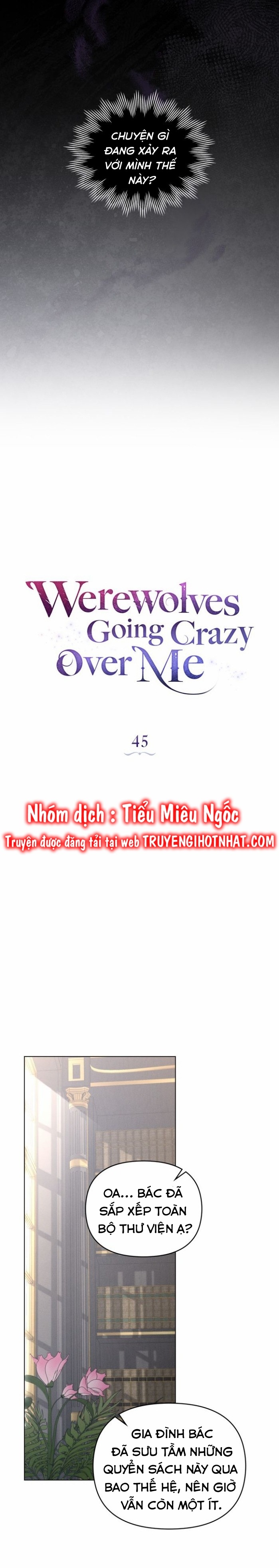 chàng người sói phát điên vì tôi chapter 45 10