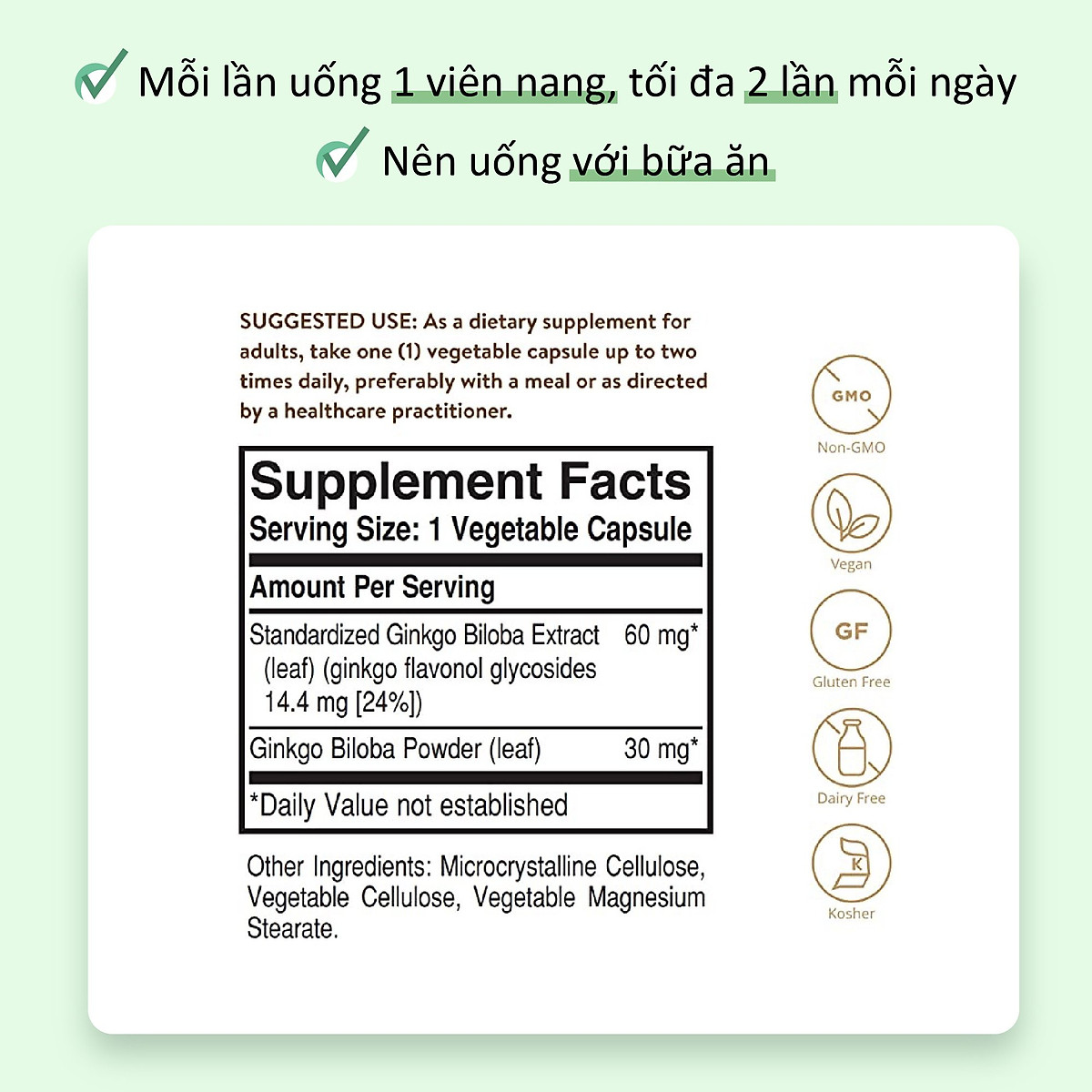 NHẬP KHẨU USA CHÍNH HÃNG - Viên Uống Bạch Quả Solgar Super Ginkgo Bibola - Viên Uống Bổ Não Giúp Tăng Cường Chức Năng Tuần Hoàn Não