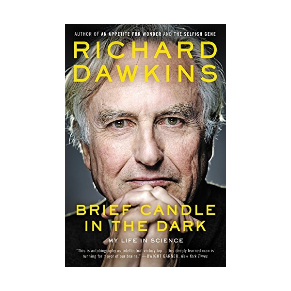 Brief Candle In The Dark