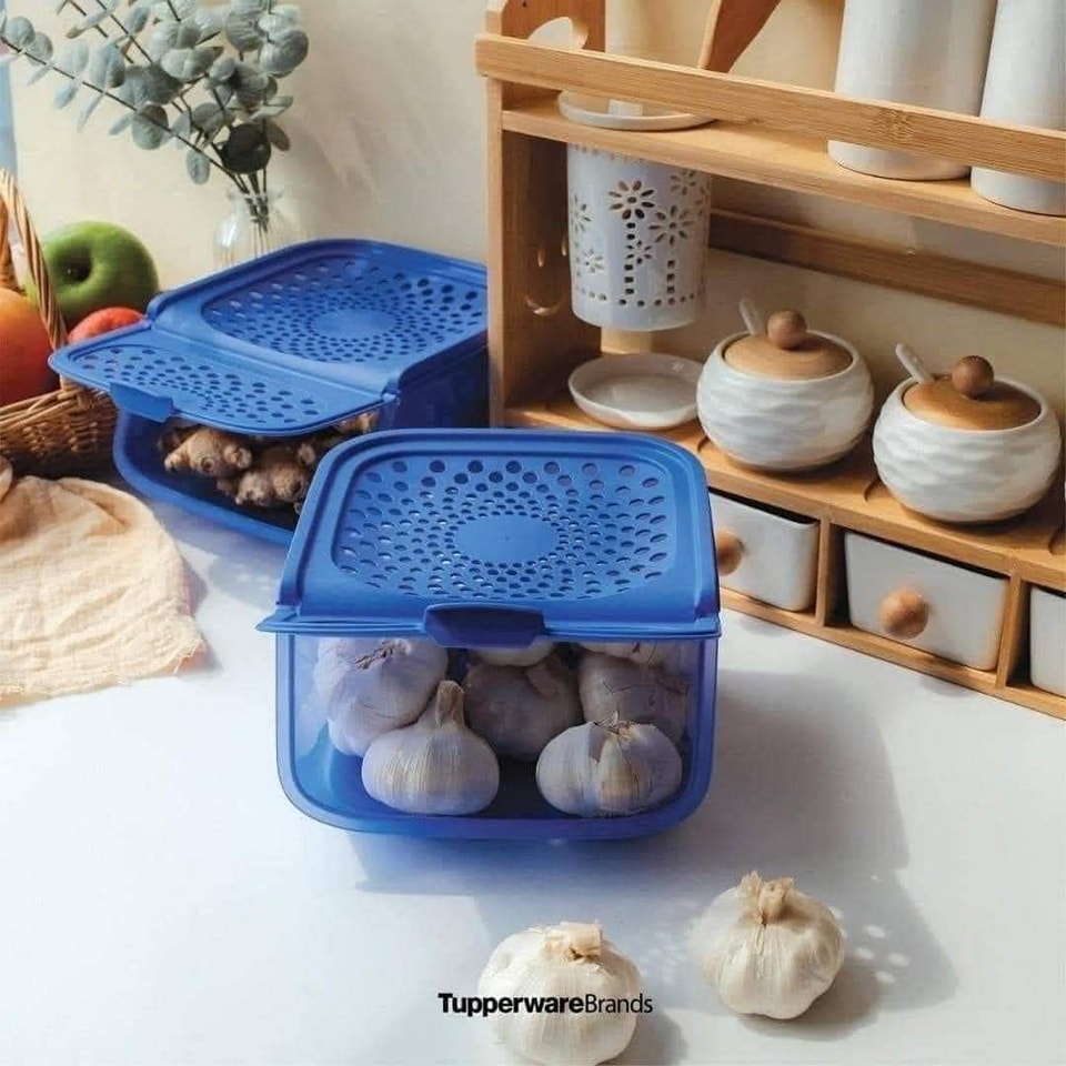 Hộp bảo quản hành tỏi, củ quả Tupperware Access Mate 2.3L