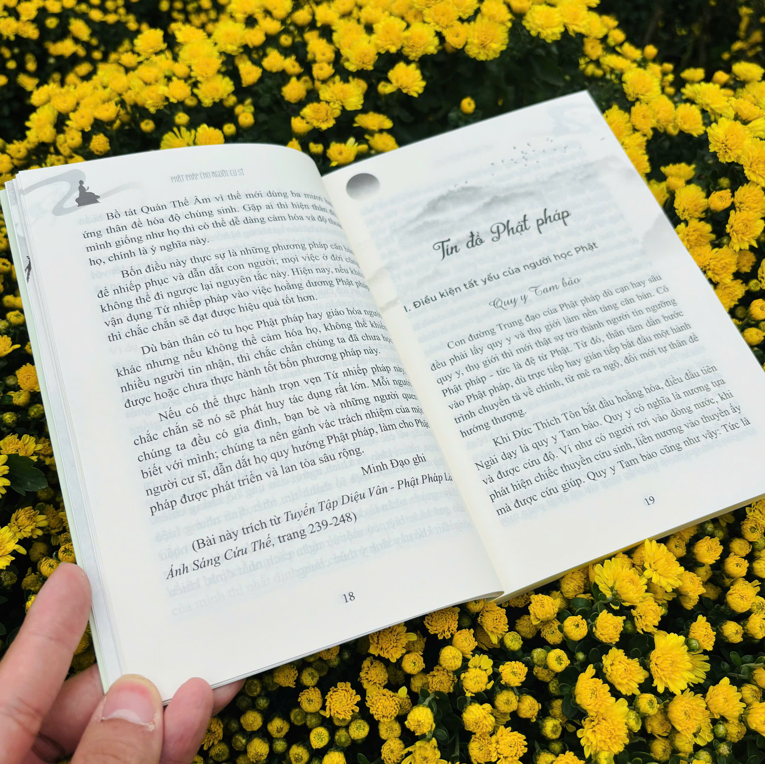 Sách - Phật Pháp Cho Người Cư Sĩ - Vĩnh Nghiêm Books