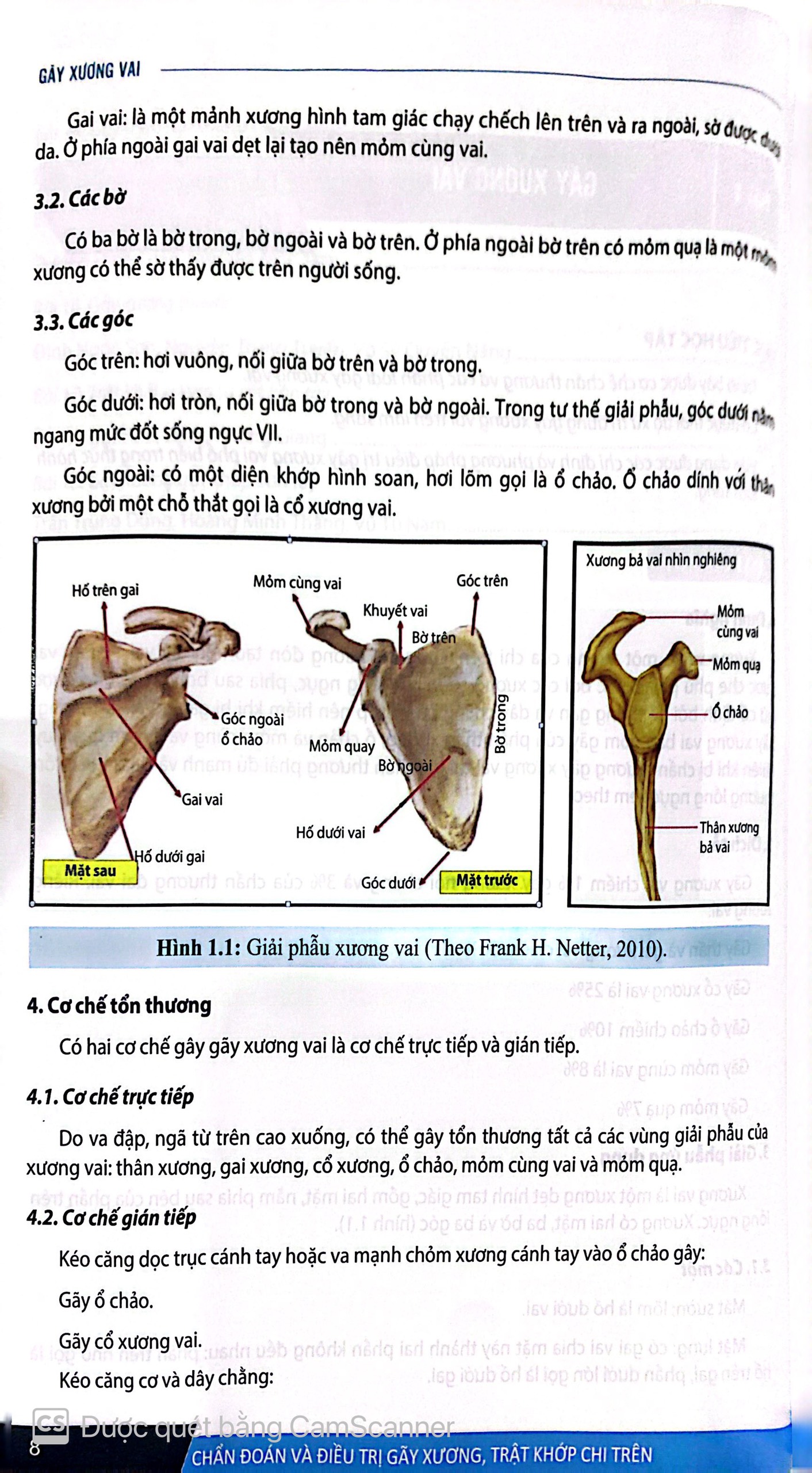 Benito - Sách - Chẩn đoán và ĐT gãy xương trật khớp chi trên - NXB Y học