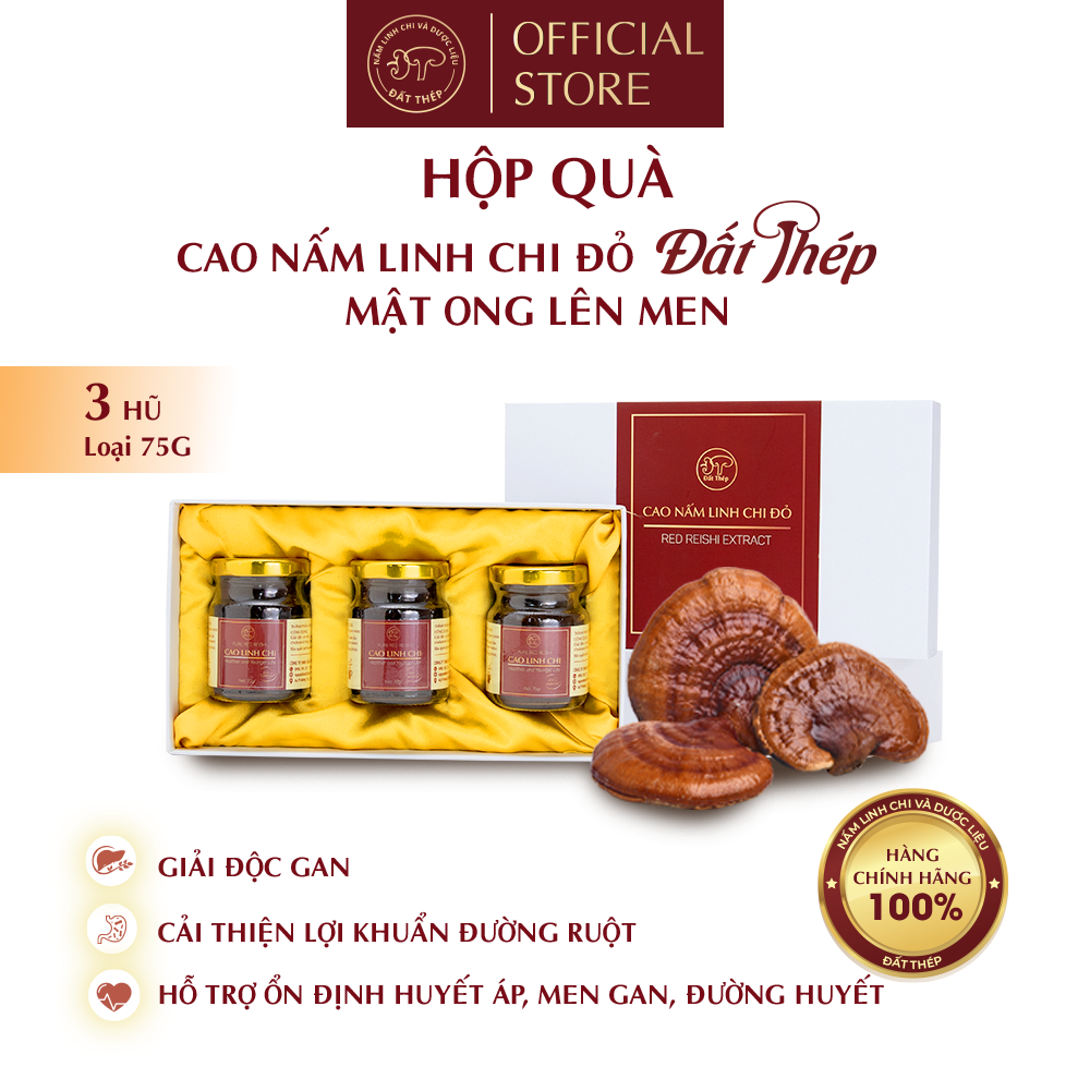 Trà Cao mật ong lên men Nấm Linh Chi đỏ Đất Thép nguyên chất Hũ 75g - Giải độc gan - Ổn định đường huyết - Tăng sức đề kháng