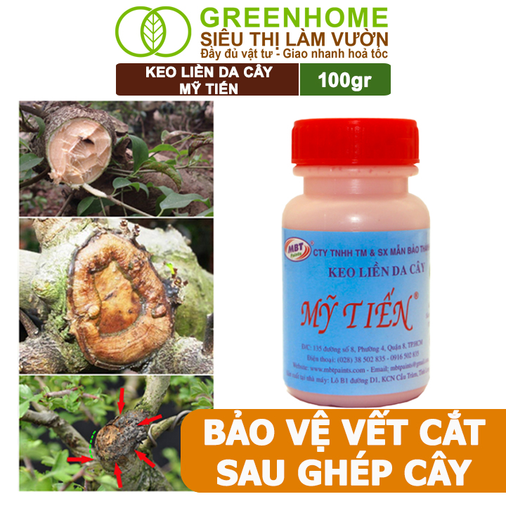 Keo Liền Sẹo Cho Cây Greenhome, Mỹ Tiến, Chai 100gr, Liền Nhanh Vết Cắt Da Cây, Chiết Cành, Tạo Dáng Bonsai, Lan, Kiểng