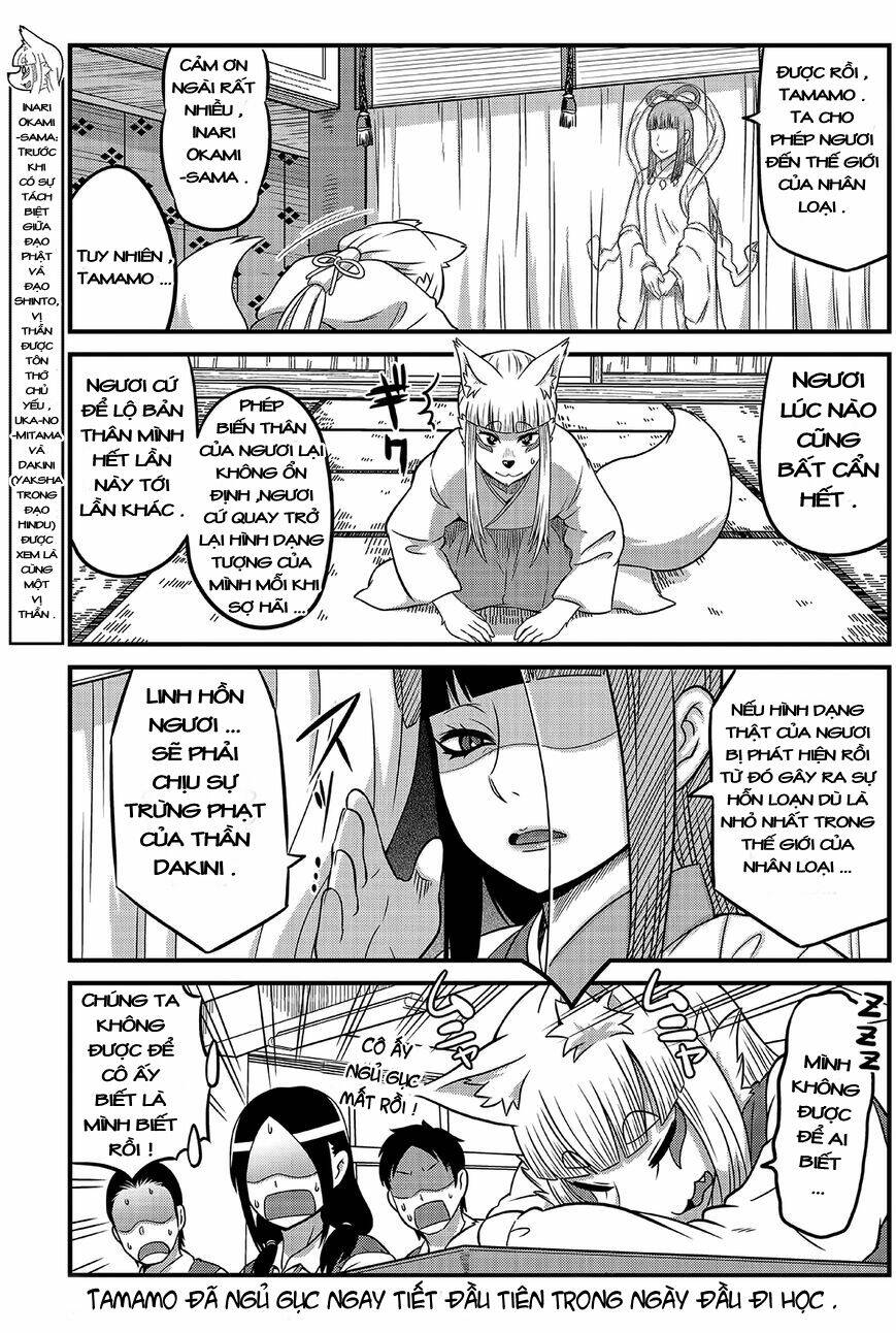 high school inari tamamo-chan ! chapter 2 6
