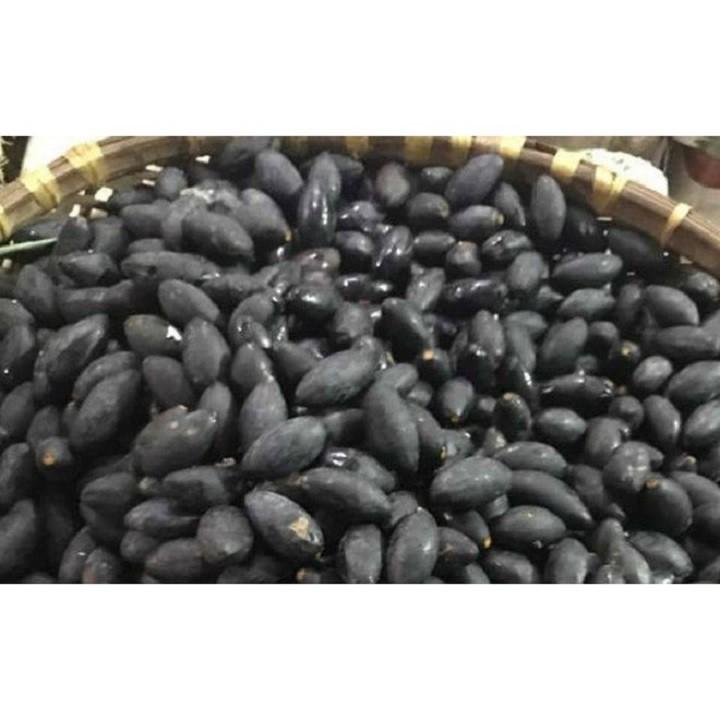 Cây giống trám đen siêu quả