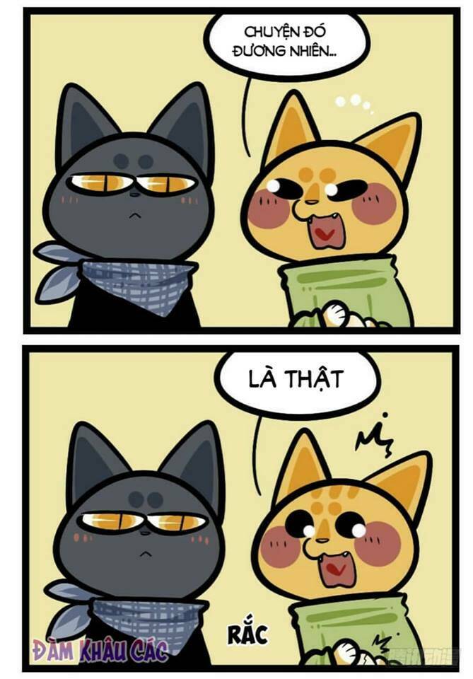 đời không như mình tưởng chapter 41 7