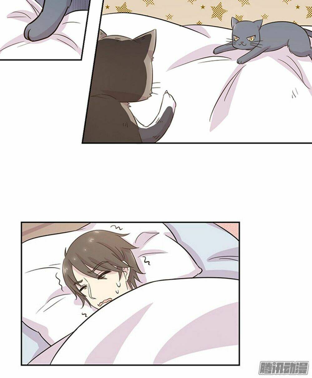 hai chú mèo totem chapter 19 14