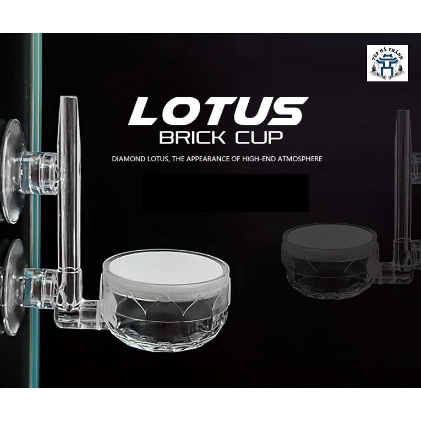 Sủi Đĩa Oxy Siêu Mịn LOTUS - Đĩa Sủi Oxy Cho Bể Cá Cảnh, Bể Thủy Sinh